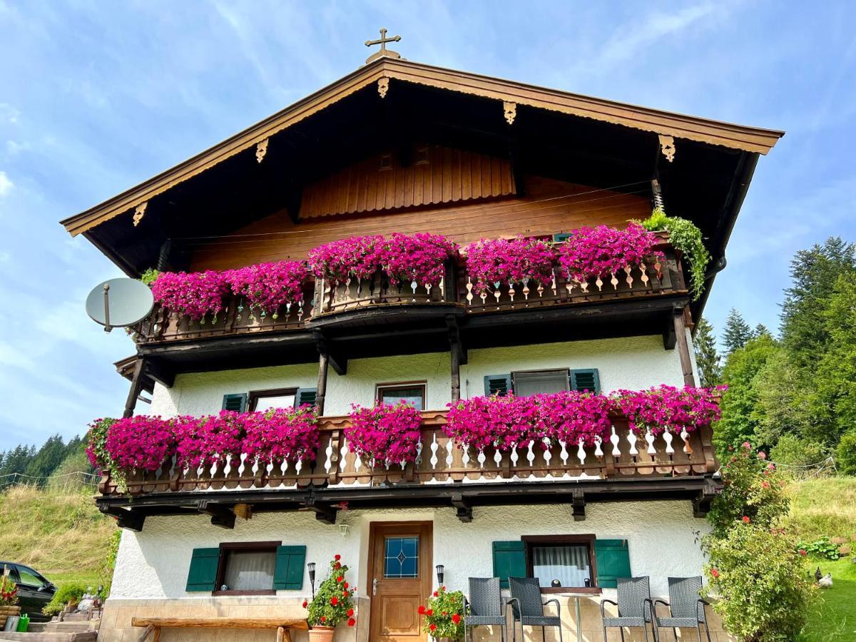 Appartement Sunnseit - Kitzbueheler Alpen サンクト・ジョアン・イン・チロル エクステリア 写真